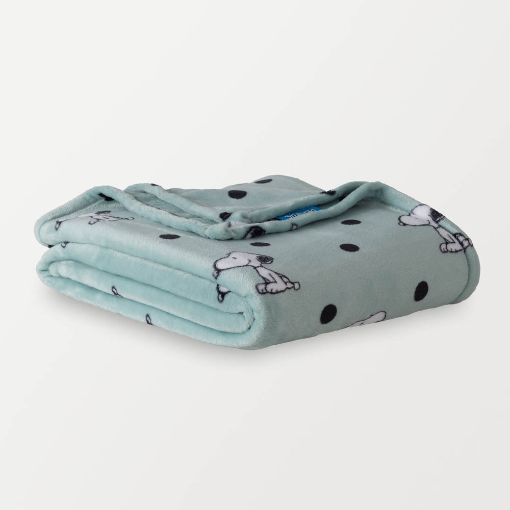 Peanuts® VelvetLoft® Throw