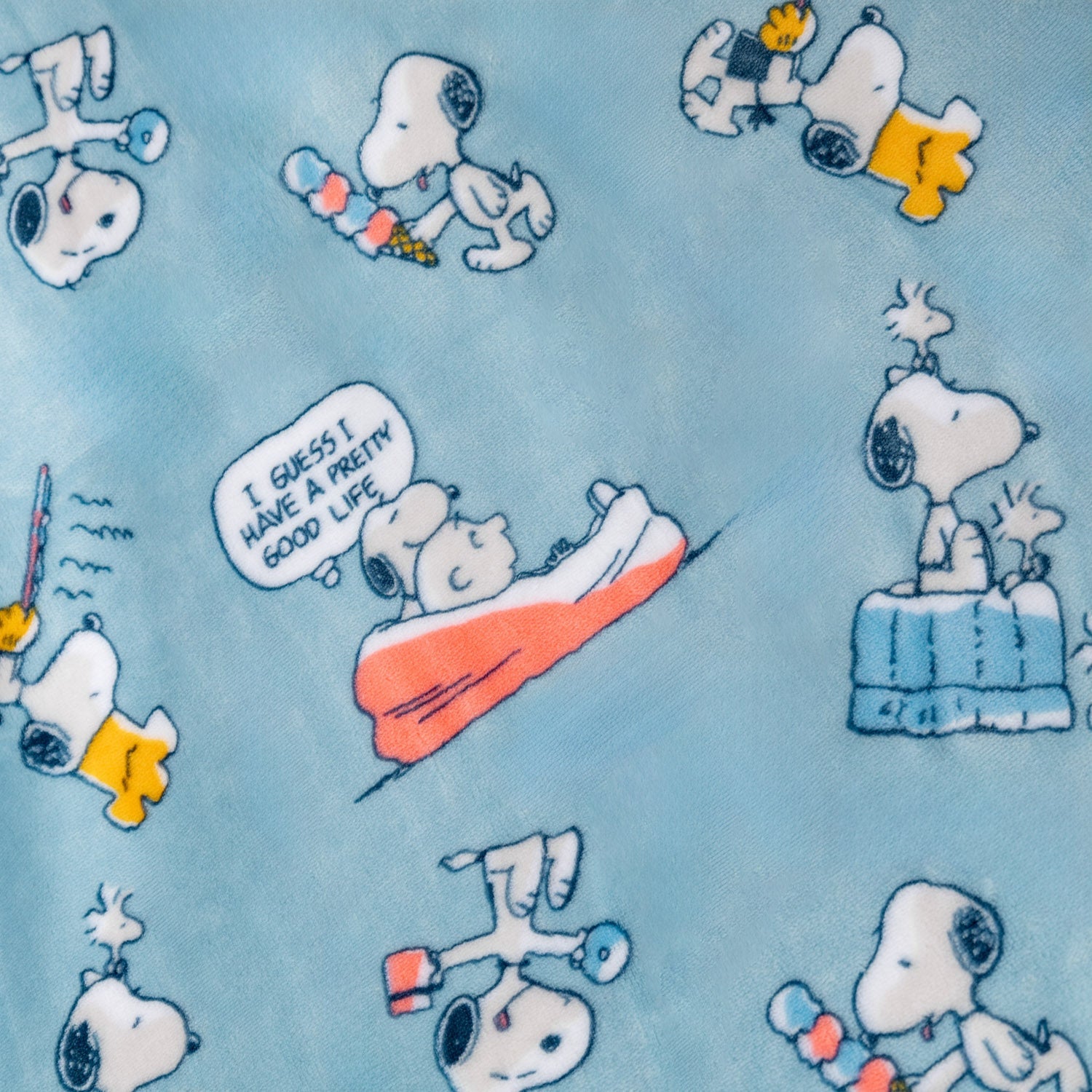 Peanuts® VelvetLoft® Throw