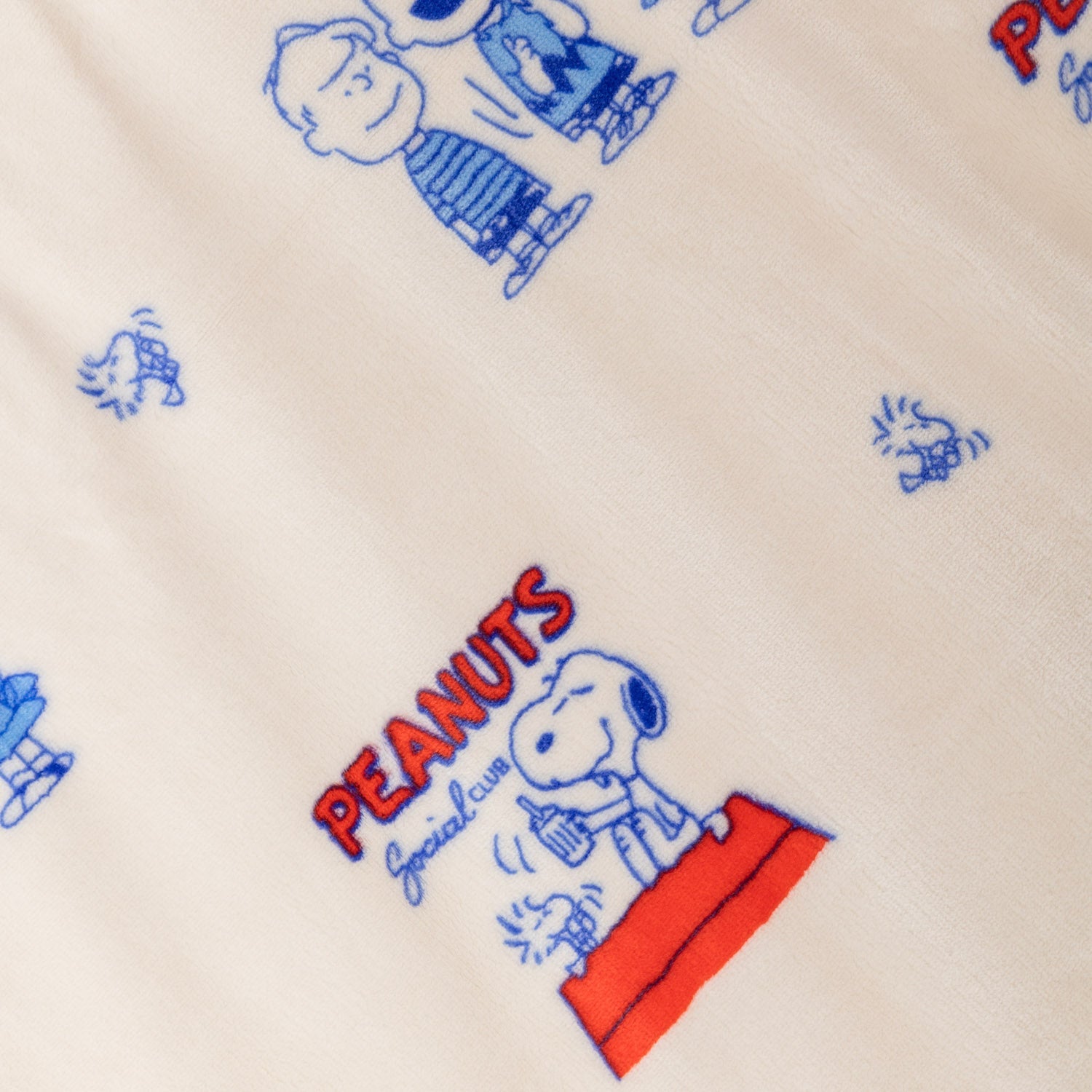 Peanuts® VelvetLoft® Throw