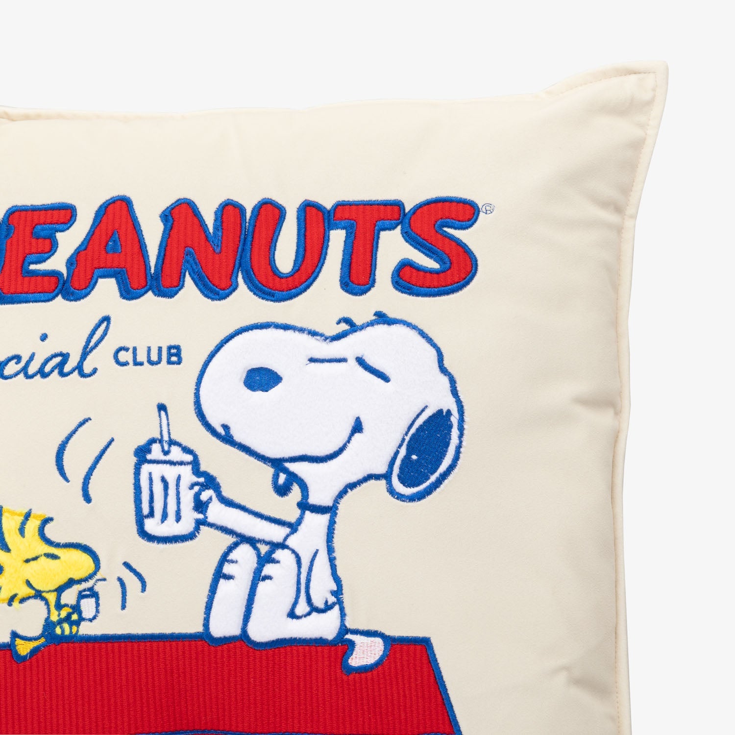 Peanuts® Social Club Pillow