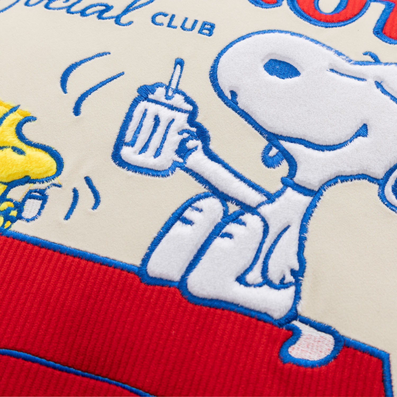 Peanuts® Social Club Pillow