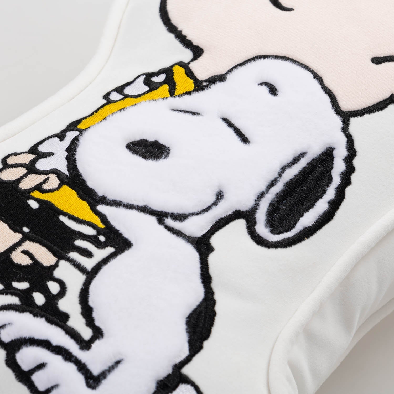 Peanuts® Charlie Brown & Snoopy Pillow