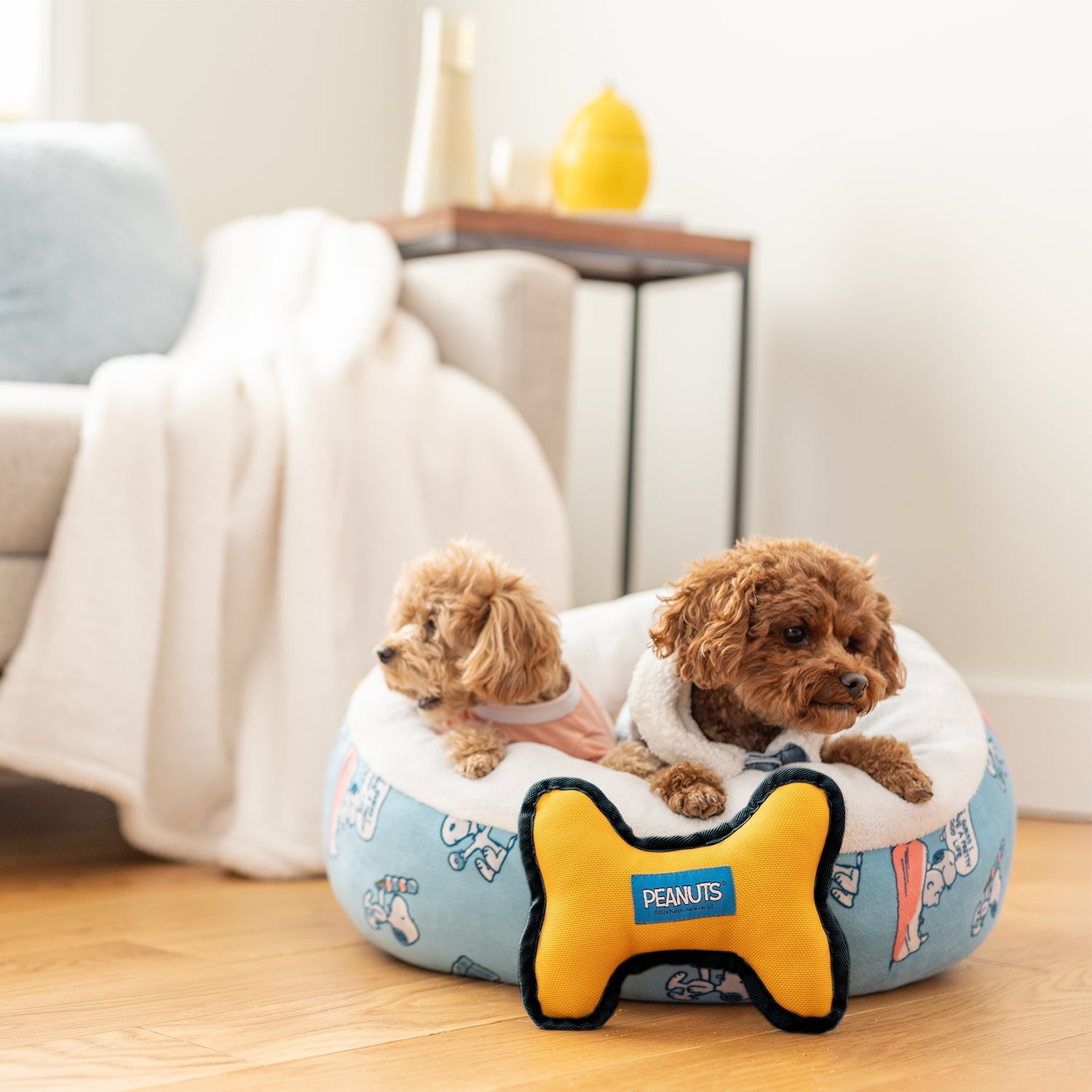 Peanuts® Pet Bed & Dog Toy Set