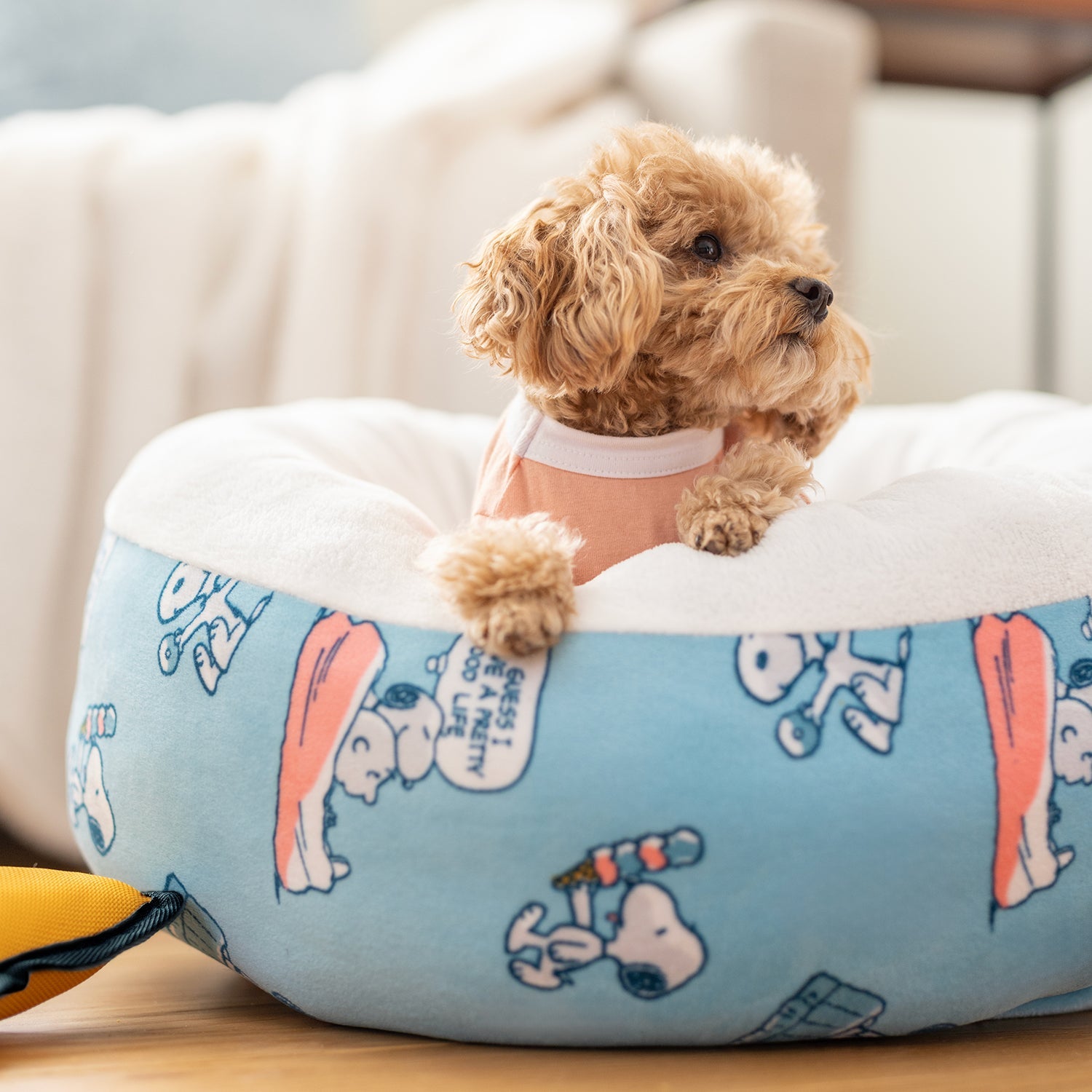 Peanuts® Pet Bed & Dog Toy Set