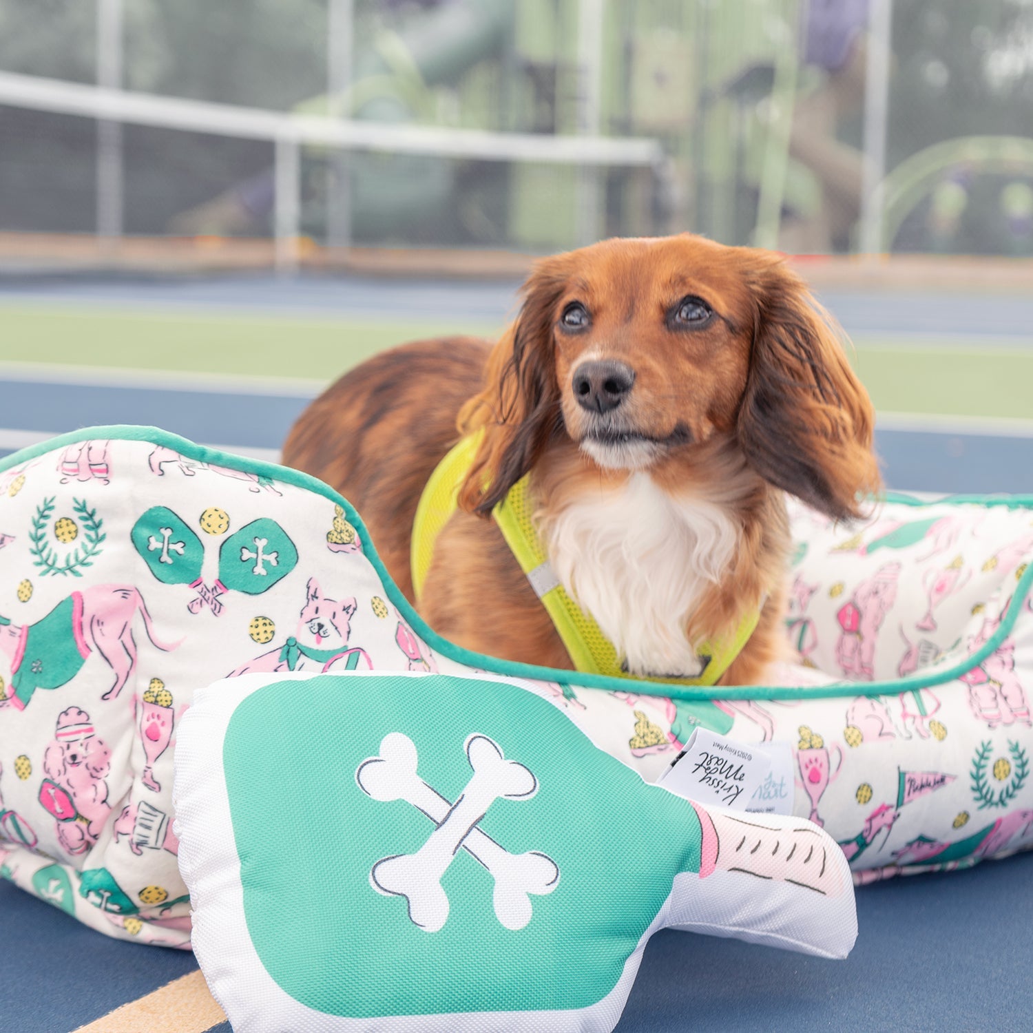 Krissy Mast Pet Bed & Dog Toy Set