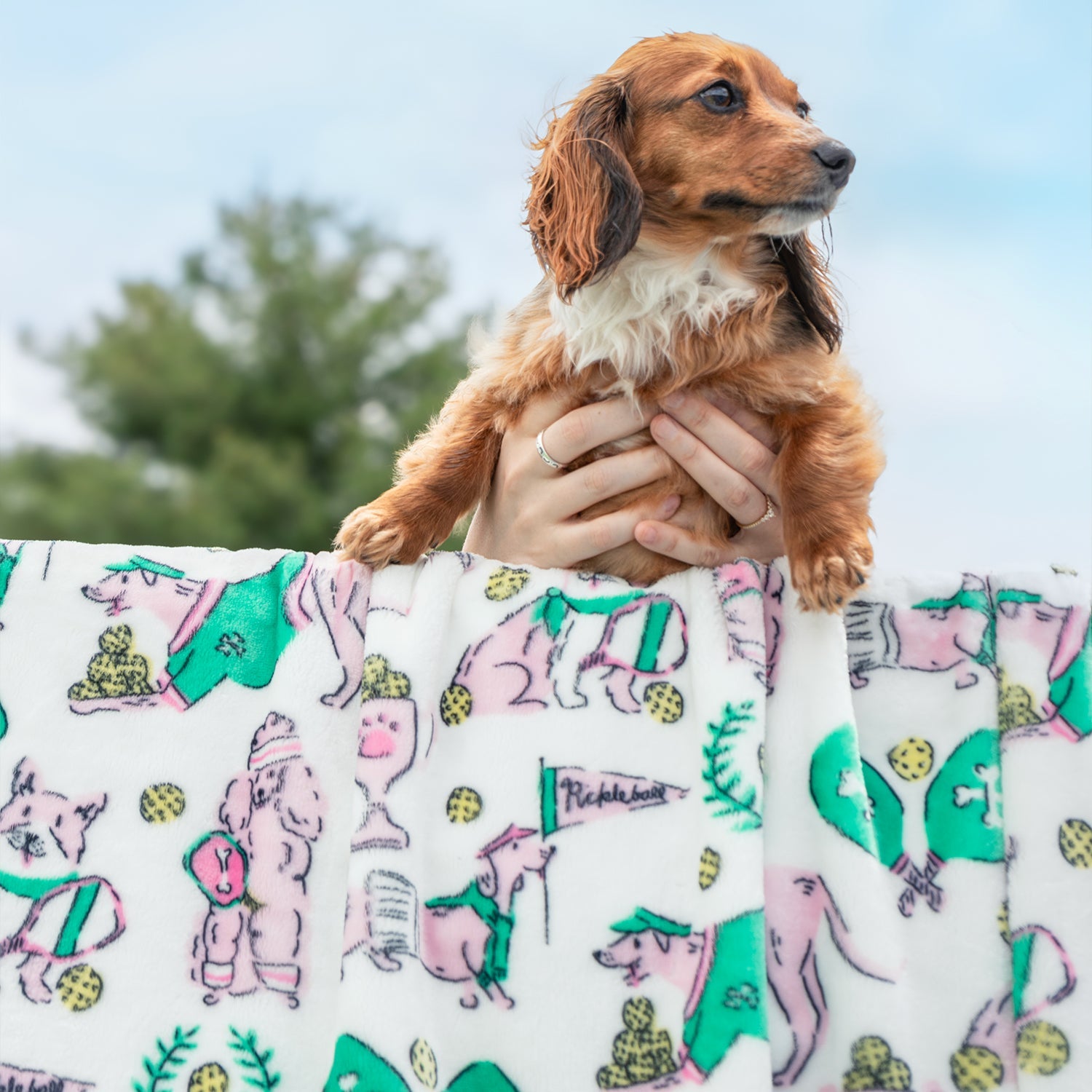 Krissy Mast Pickleball Pups Gift Set